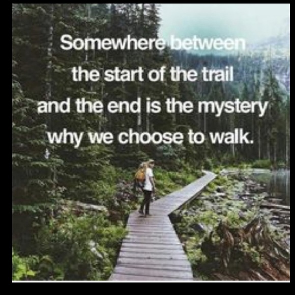 Eddie Bauer Fleece EB540 Storm Repel Gray Sz Lg Hoffman Jacket - Picture 15 of 16